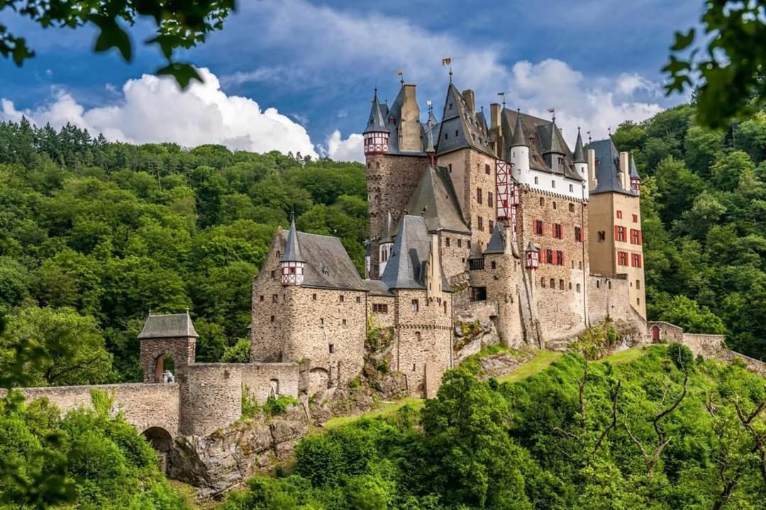 Traumwohnung Jolly Jumper Auf Idyllischem Reiterhof Naehe Burg Eltz Münstermaifeld Eksteriør bilde